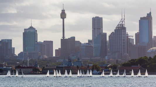 Sydney Fleet Owner 2023-2024